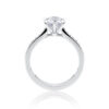Acacia 18ct White Gold Six Claw