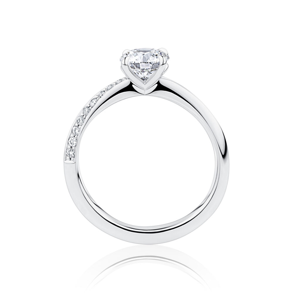Hibiscus White gold