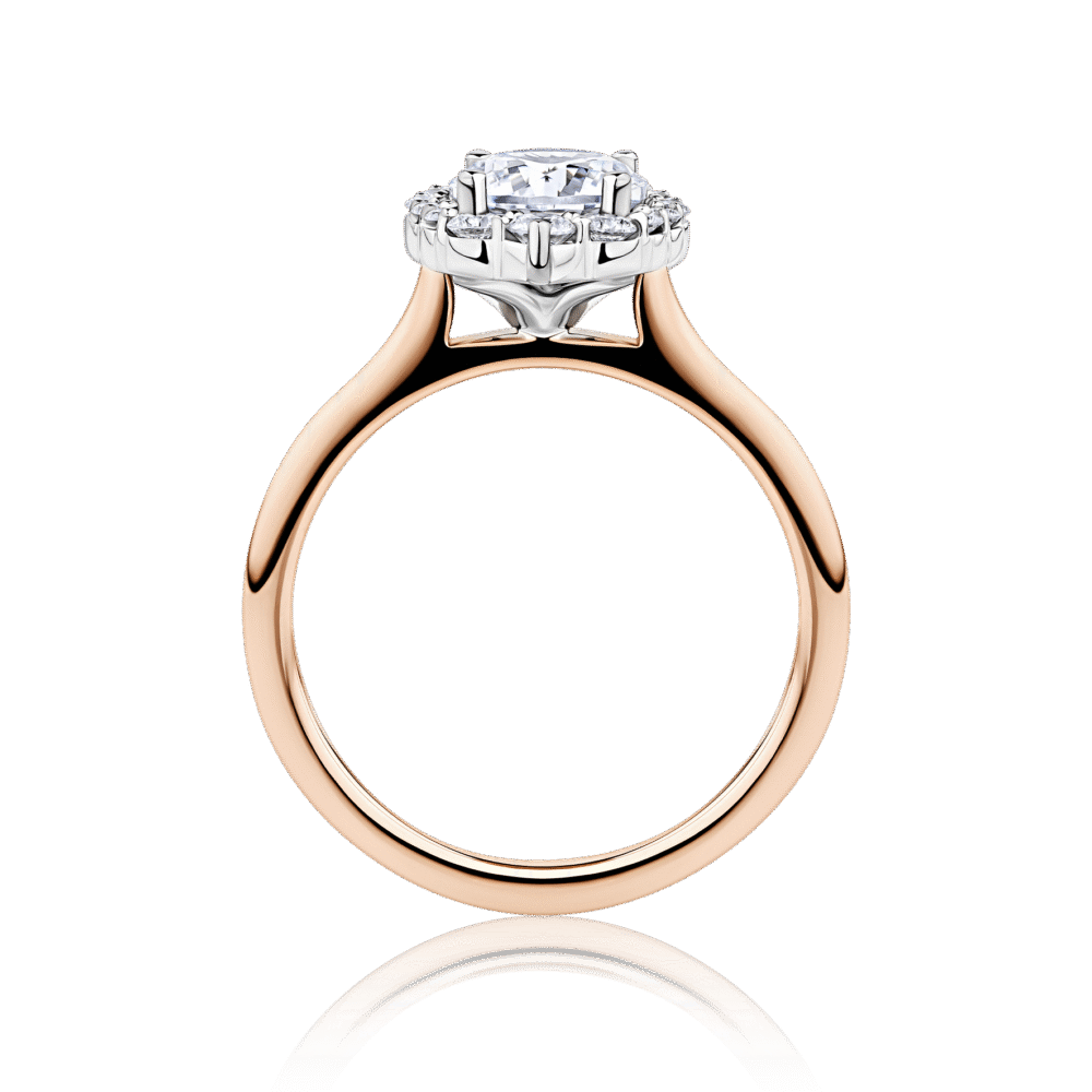 Caladenia Two Tone rose and white gold