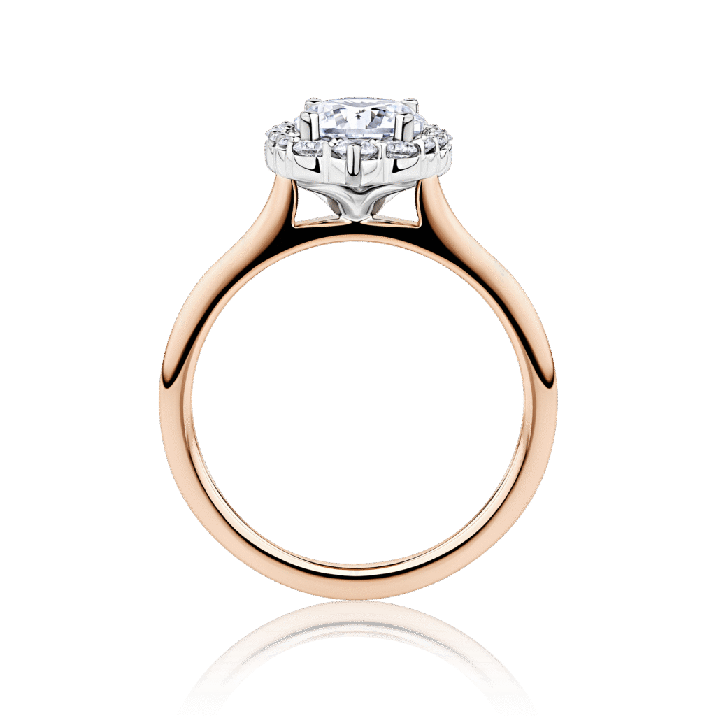 Caladenia Two Tone rose and white gold