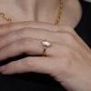 Waratah Marquise Yellow Gold