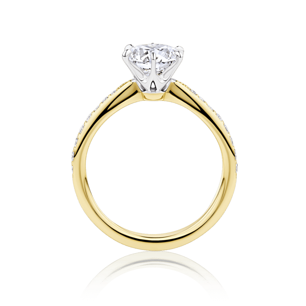 Rosella 2 tone yellow white gold