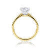 Rosella 2 tone yellow white gold