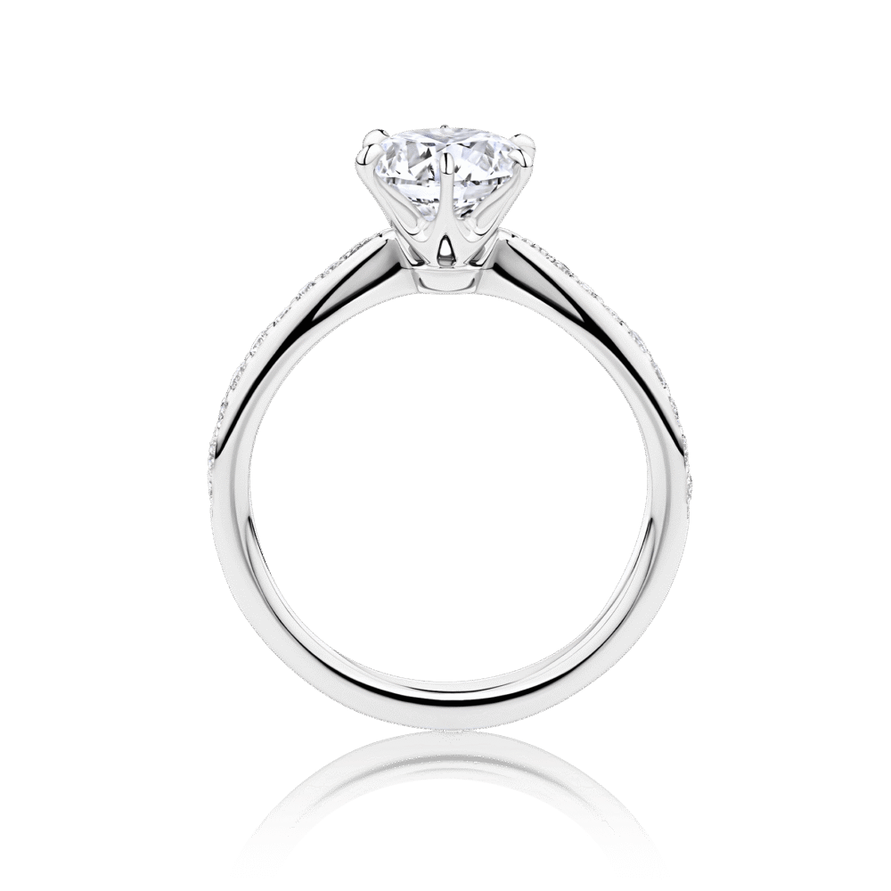 Rosella white gold