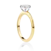 Waratah-side-yellow-gold-two-tone-round-cut-diamond-engagement-ring