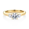 Banksia-yellow-gold-trilogy-round-diamond-engagement-ring