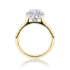 Caladenia two tone yellow and white gold side