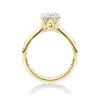 Gardenia 6 claw yellow gold