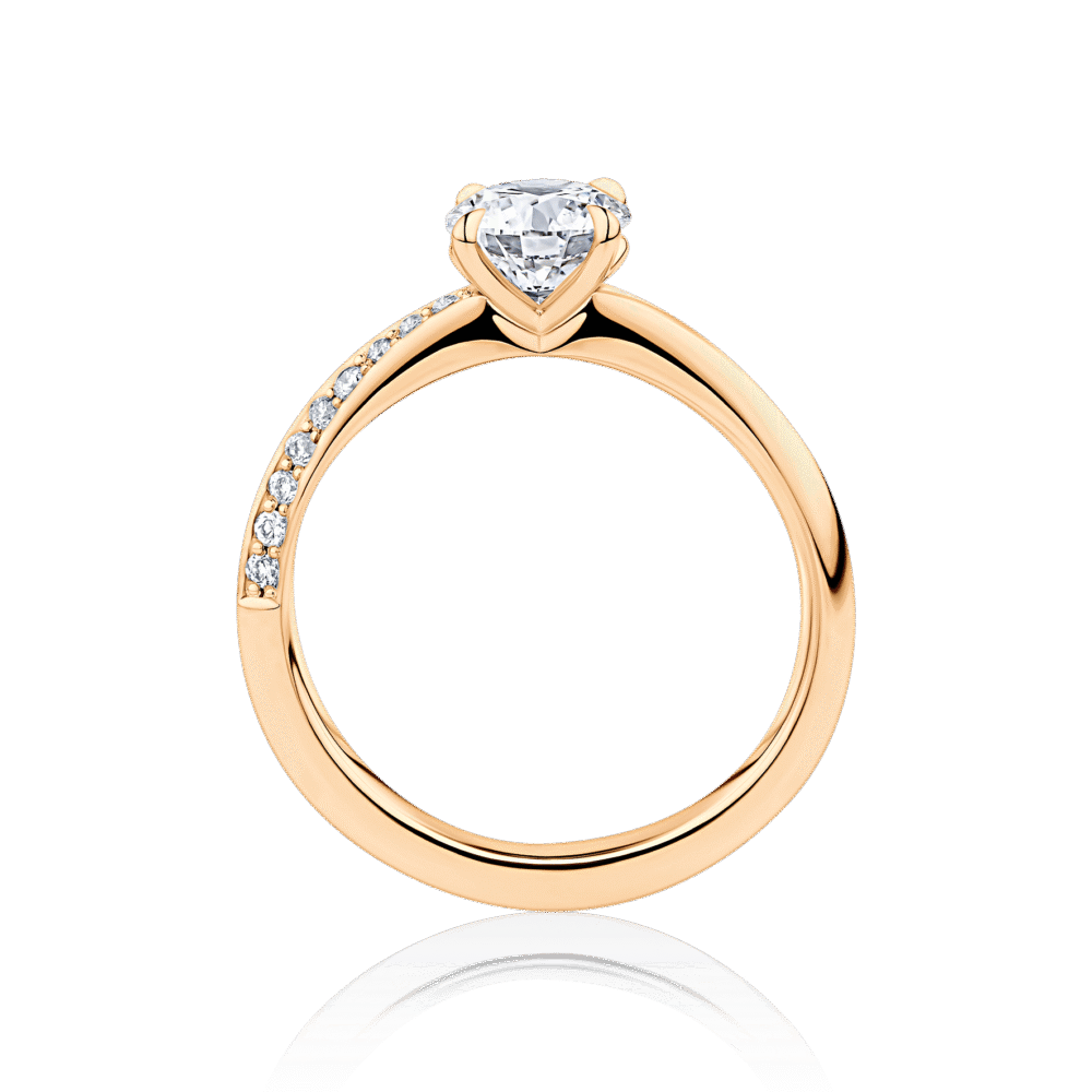 Hibiscus rose gold