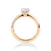 Hibiscus rose gold