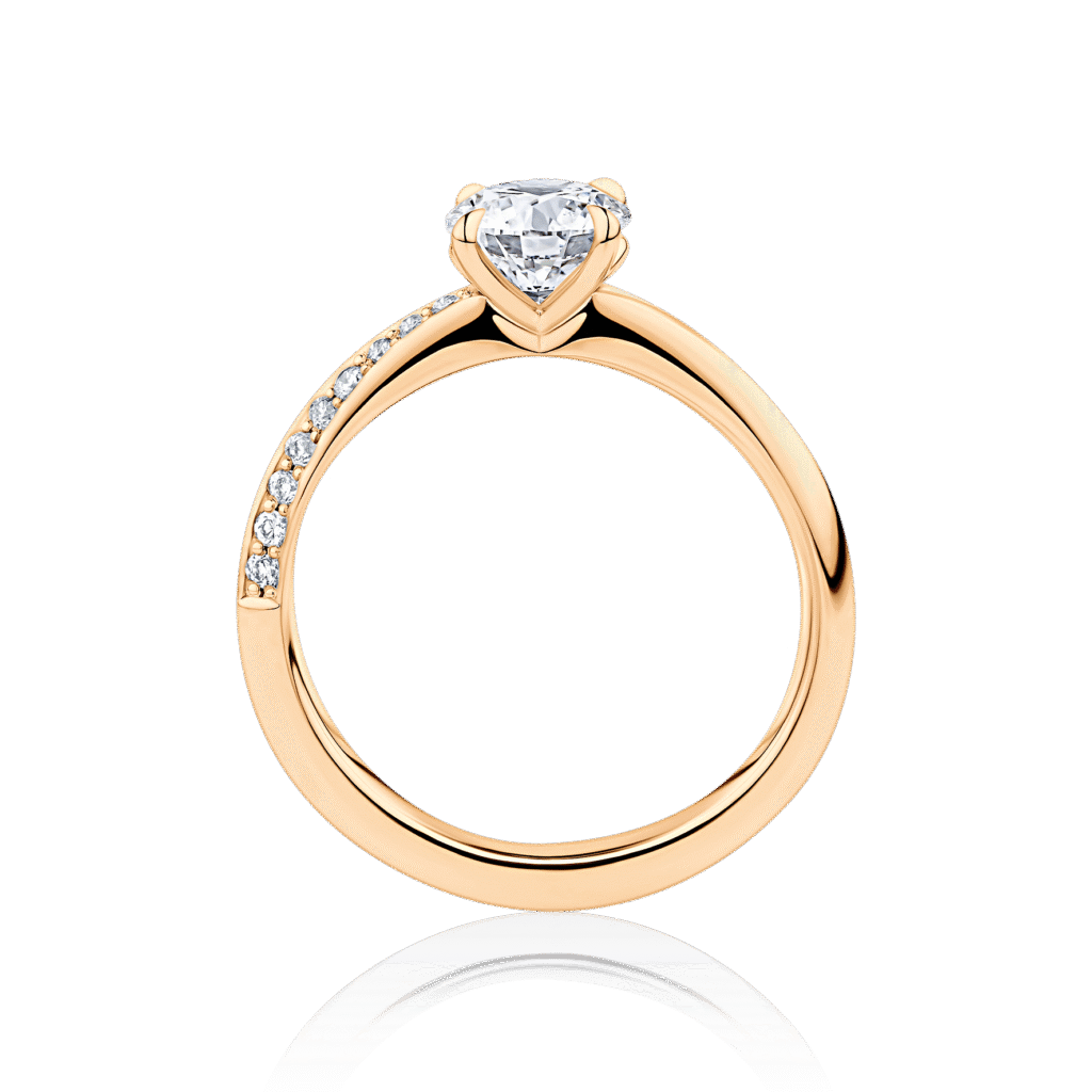 Hibiscus rose gold