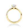 Hibiscus yellow gold