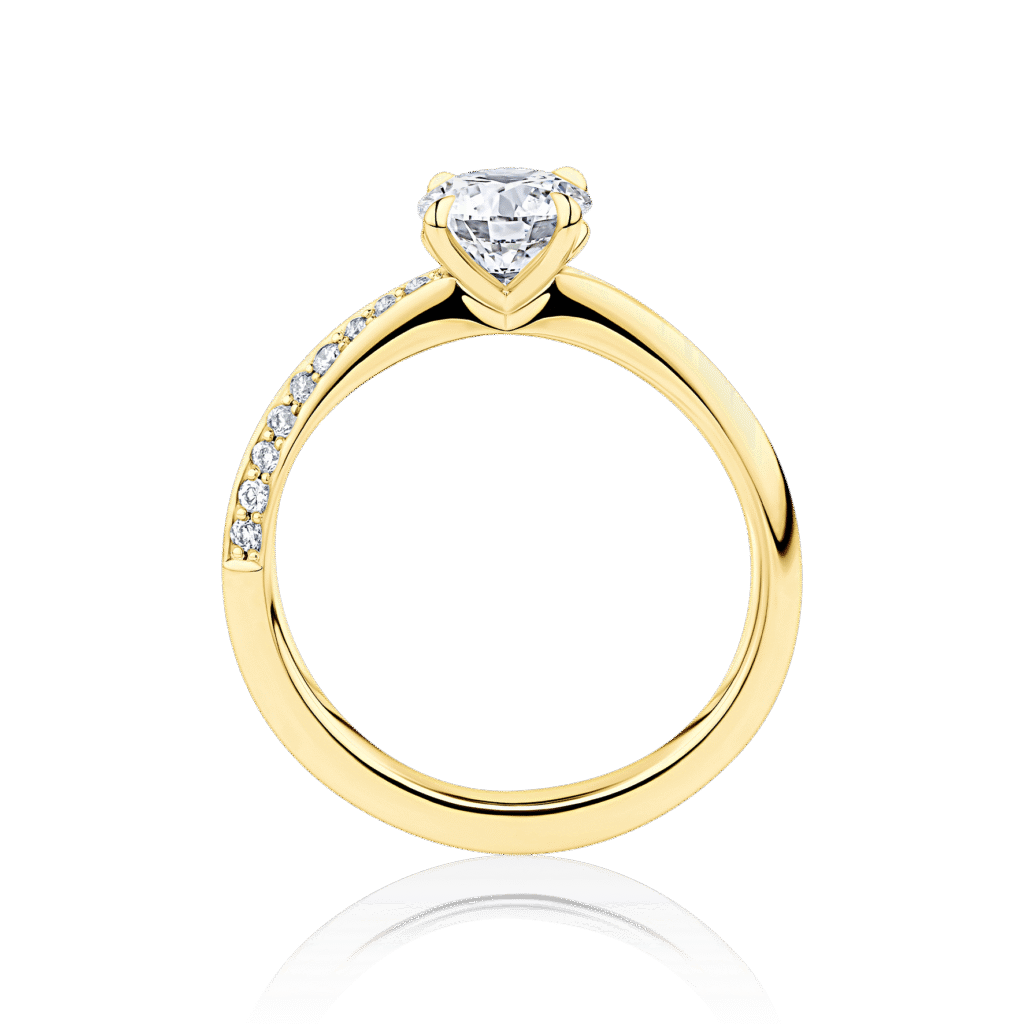 Hibiscus yellow gold