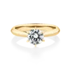 Honey myrtle-yellow-gold-round-diamond-engagement-ring