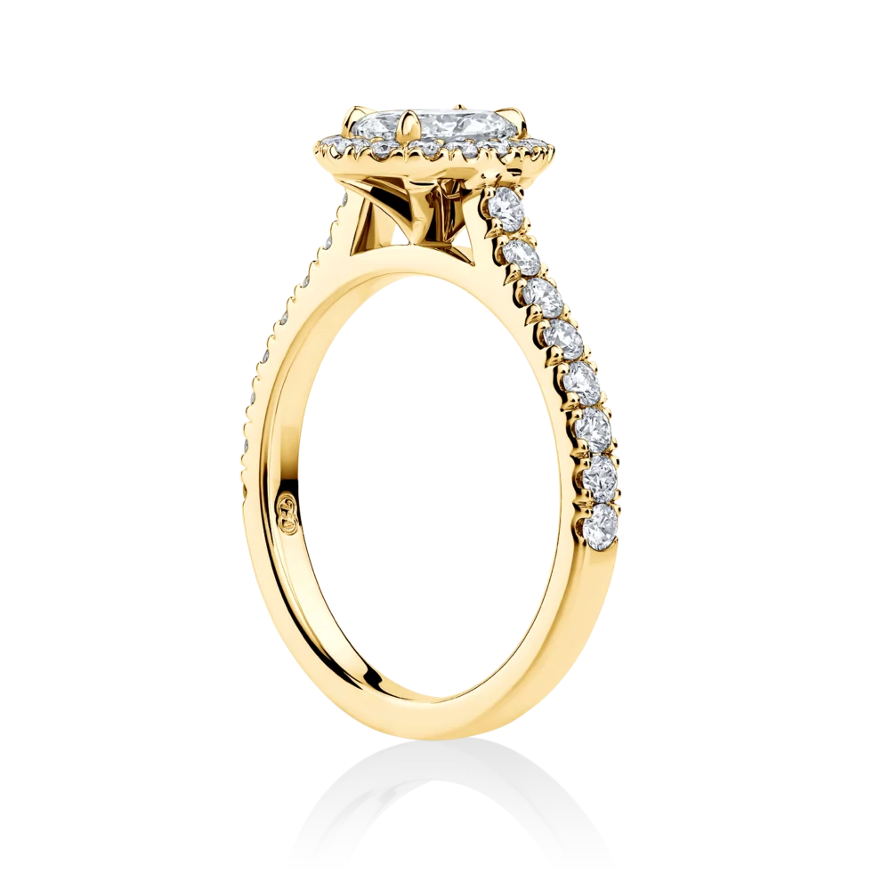 Wattle-oval-yellow-gold-side-halo-oval-diamond-engagement-ring