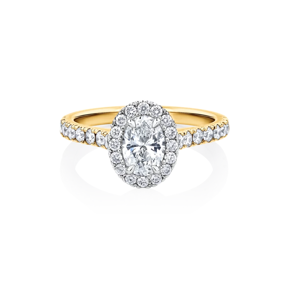 Wattle-oval-yellow-gold-two-tone-halo-oval-diamond-engagement-ring