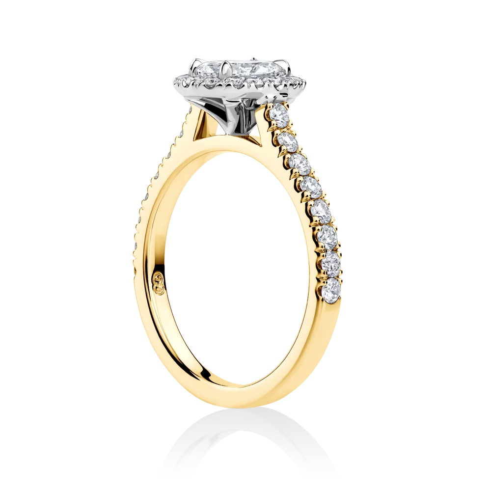 Wattle-oval-yellow-gold-two-tone-side-halo-oval-diamond-engagement-ring