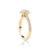Wattle-round-yellow-gold-side-halo-round-diamond-engagement-ring