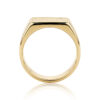 Jervis 18ct yellow gold 1