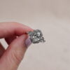 Caladenia Modified with Diamond Accents 1