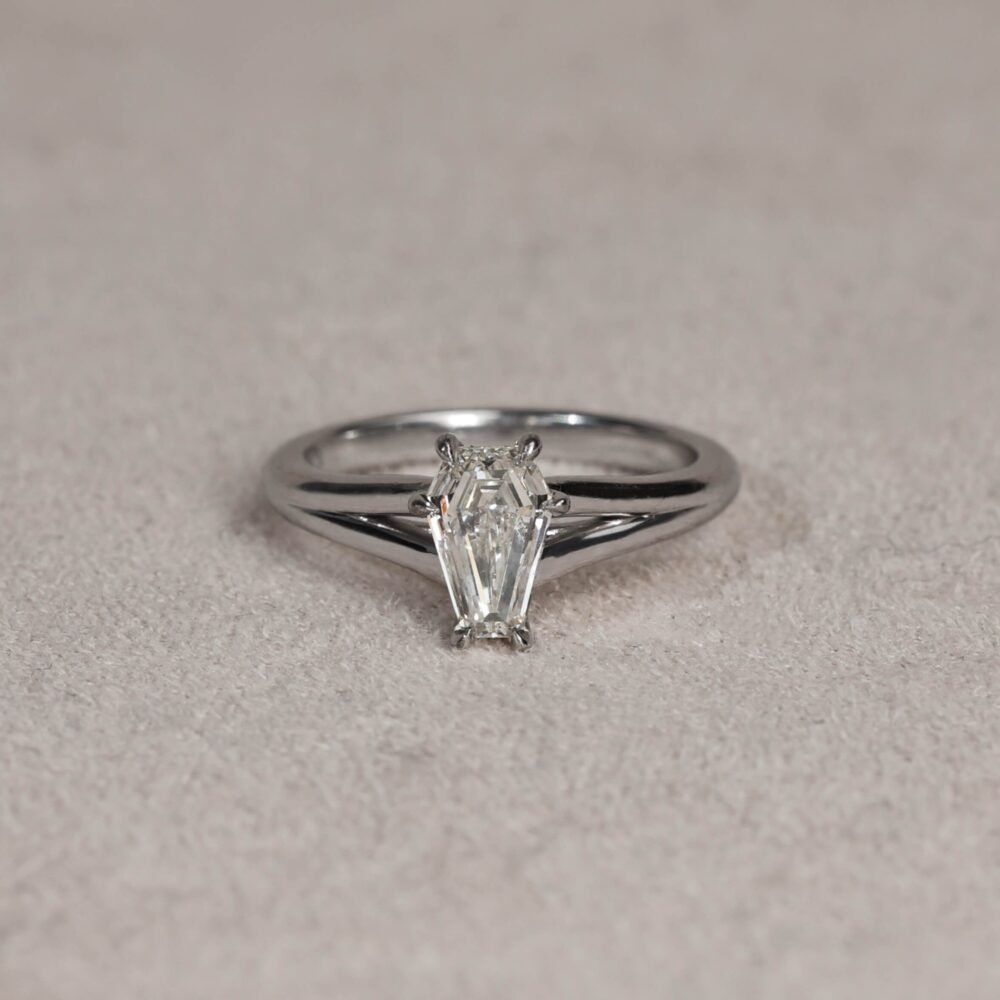 Coffin Cut Split Band Ring in white gold (1)