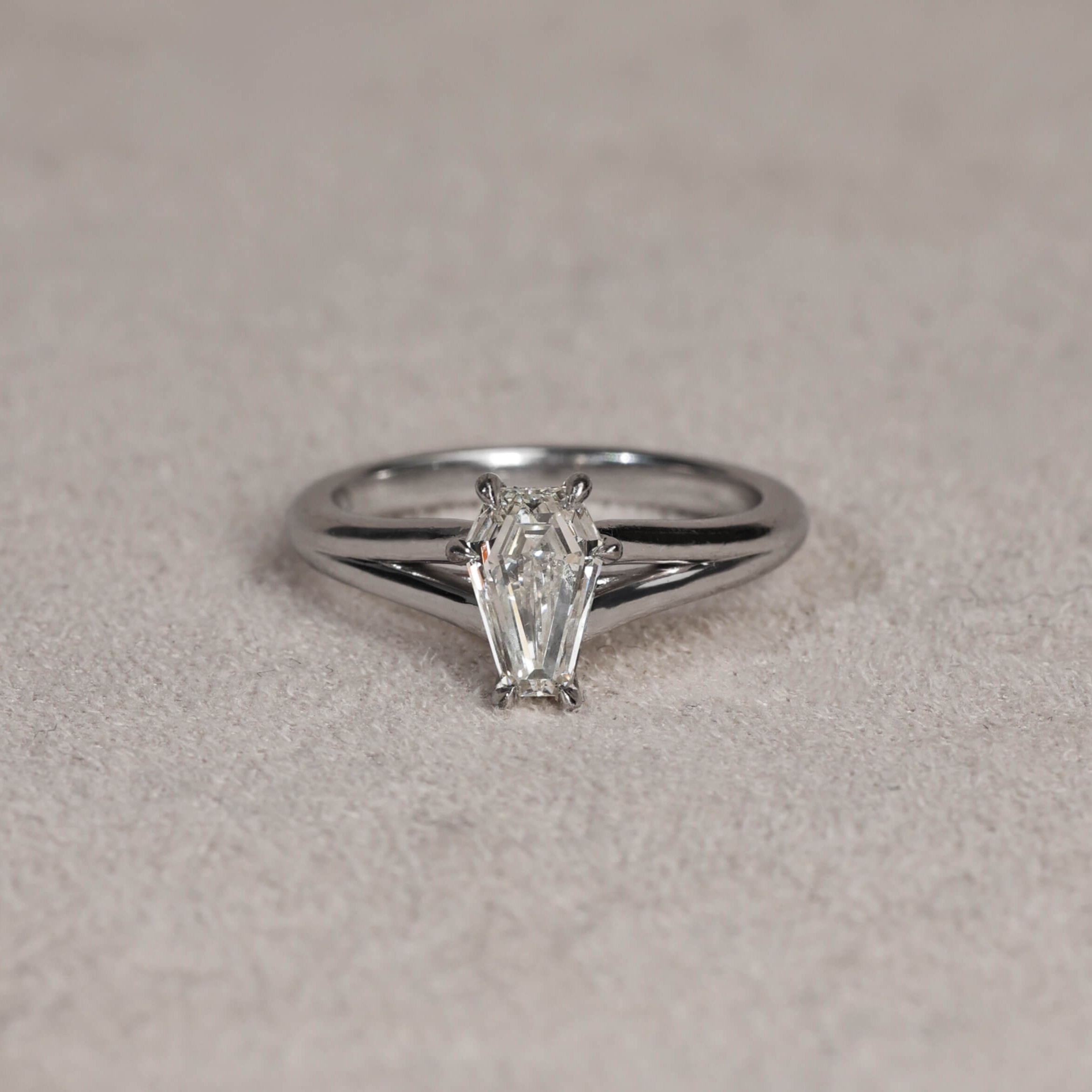Coffin Cut Split Band Ring in white gold (1)