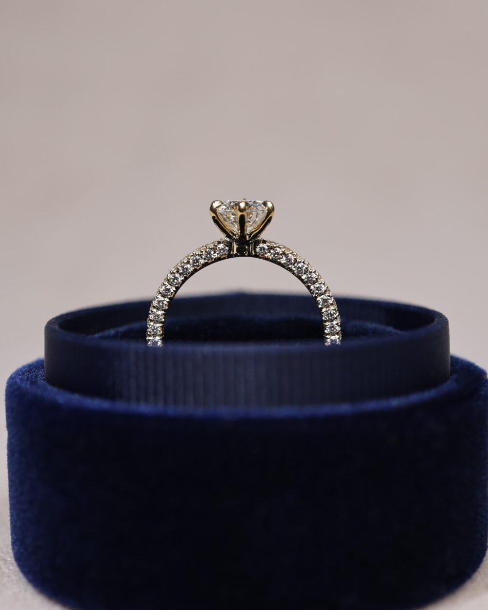 Boronia Yellow Gold Boxed