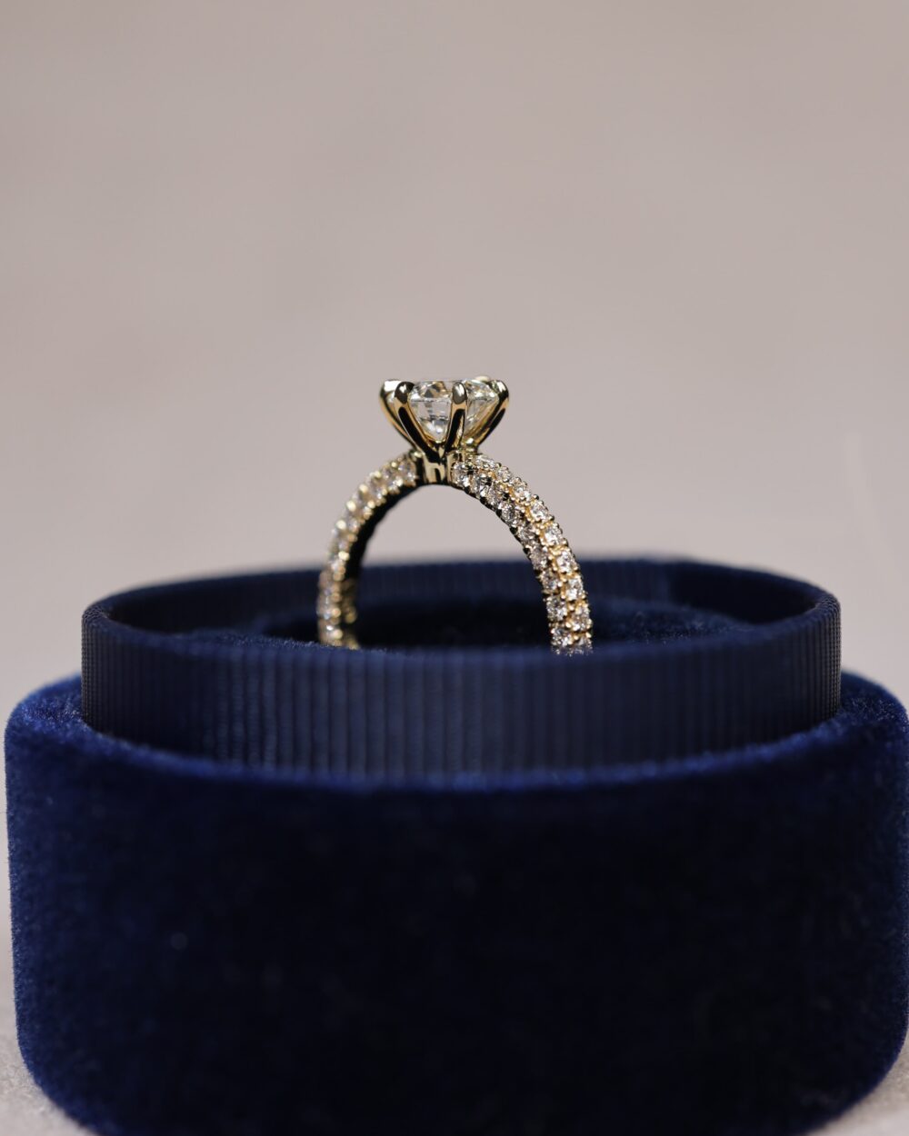 Boronia Yellow Gold Boxed