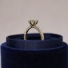 Boronia Yellow Gold Boxed