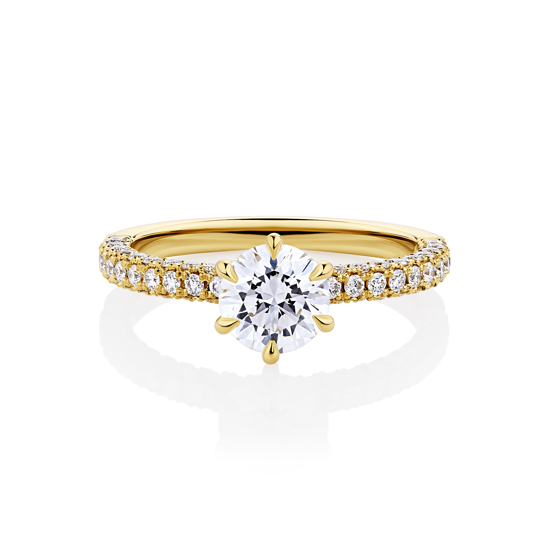 Boronia yellow gold