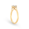 Cyathea Crest Round Yellow Gold