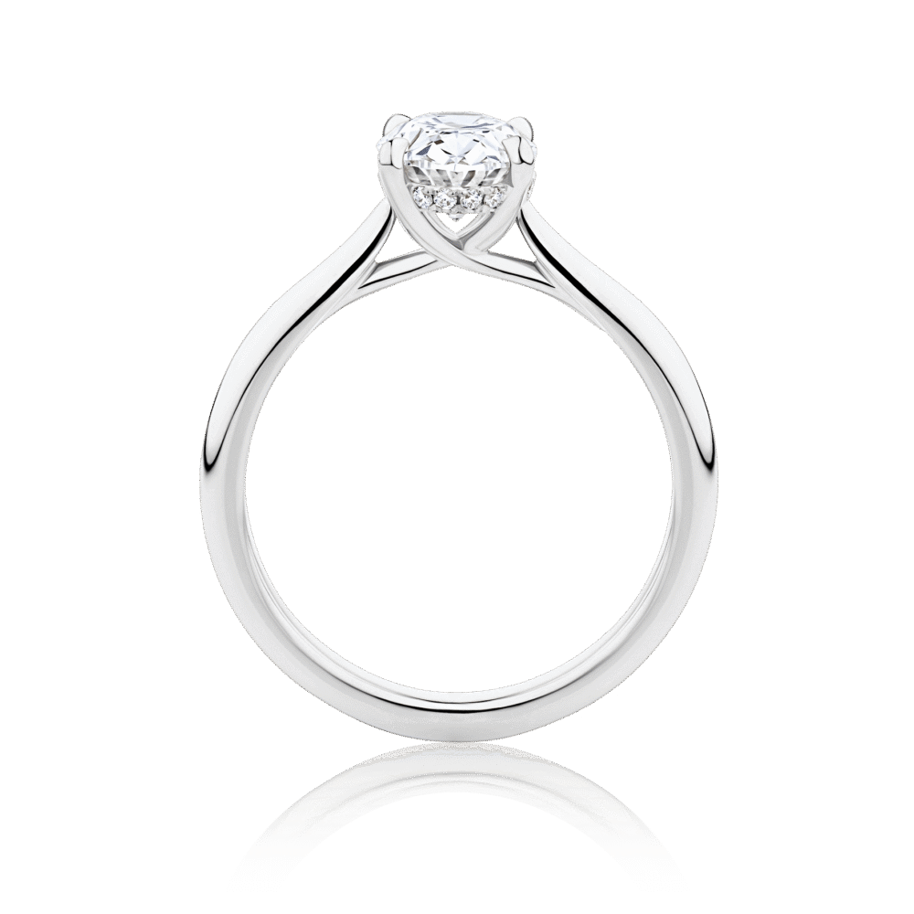 Gardenia Oval Hidden Halo White Gold