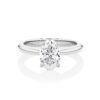 Gardenia Oval Hidden Halo White Gold