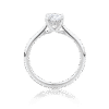 Gardenia Oval Hidden Halo White Gold