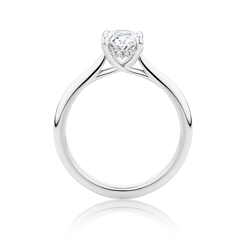 Gardenia Oval Hidden Halo White Gold