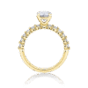 Poinciana Reverie yellow gold side