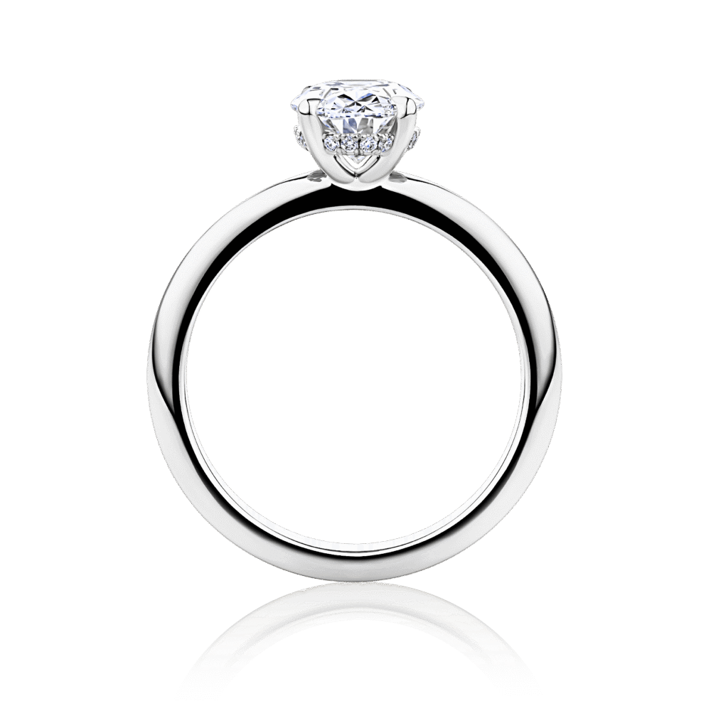 Waratah Oval Hidden halo white gold side