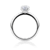 Waratah Oval Hidden halo white gold side