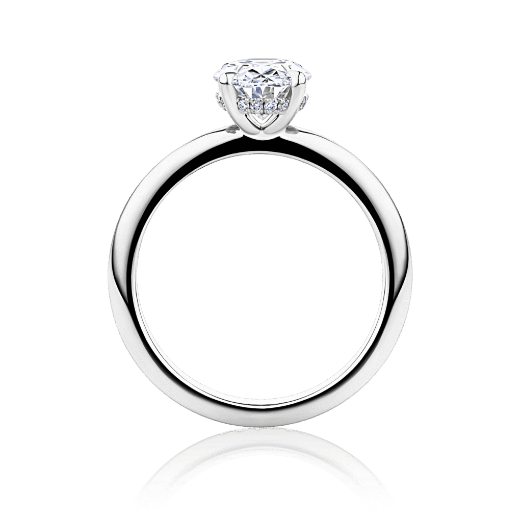 Waratah Oval Hidden halo white gold side