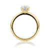Waratah Oval Hidden halo yellow gold side