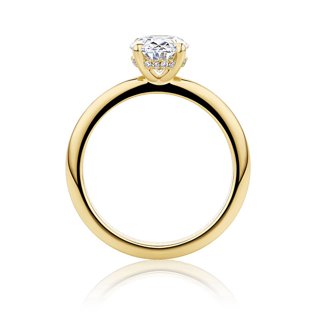 Waratah Oval Hidden halo yellow gold side