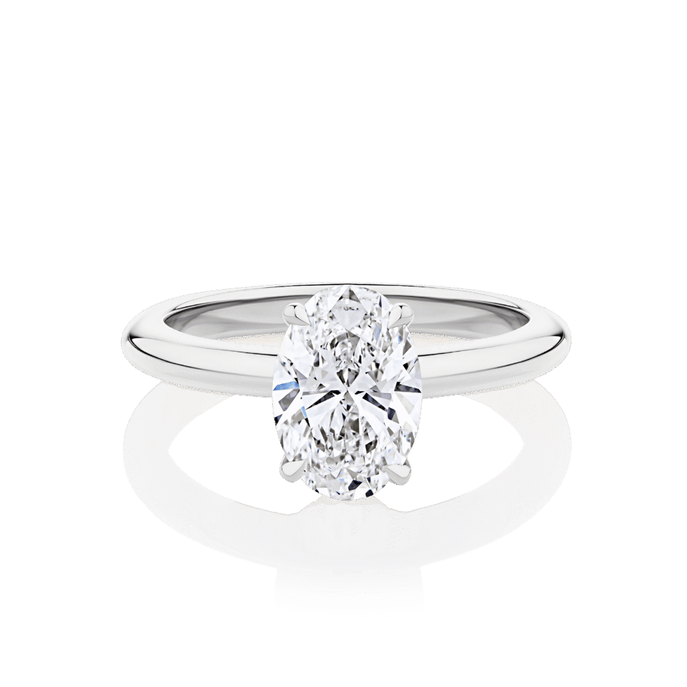 Waratah Oval Hidden halo white gold top