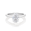 Waratah Oval Hidden halo white gold top