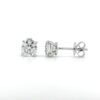 Diamond Solitaire Studs White Gold